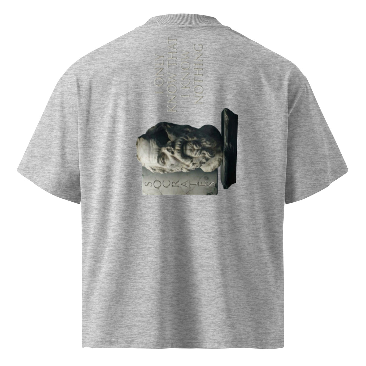 Socrates 'I know nothing' oversized t-shirt, Heather Grey, back view — Earthwear Studio