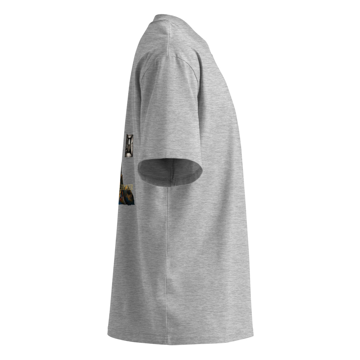 Camus The Stranger oversized t-shirt, Heather Grey, right side view — Earthwear Studio