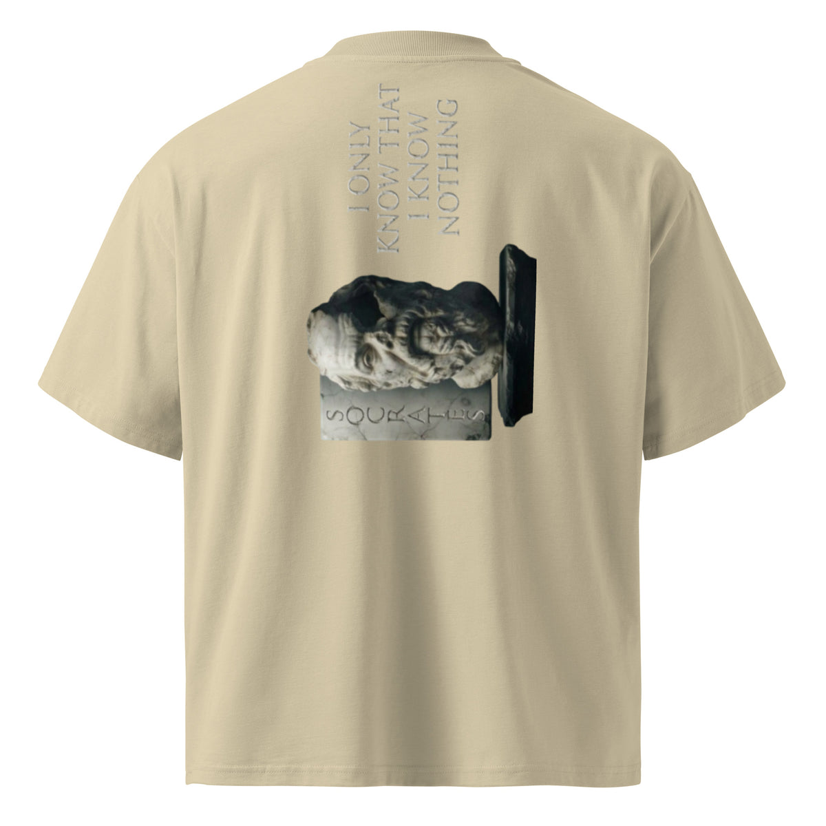 Socrates 'I know nothing' oversized t-shirt, Stone, back view — Earthwear Studio