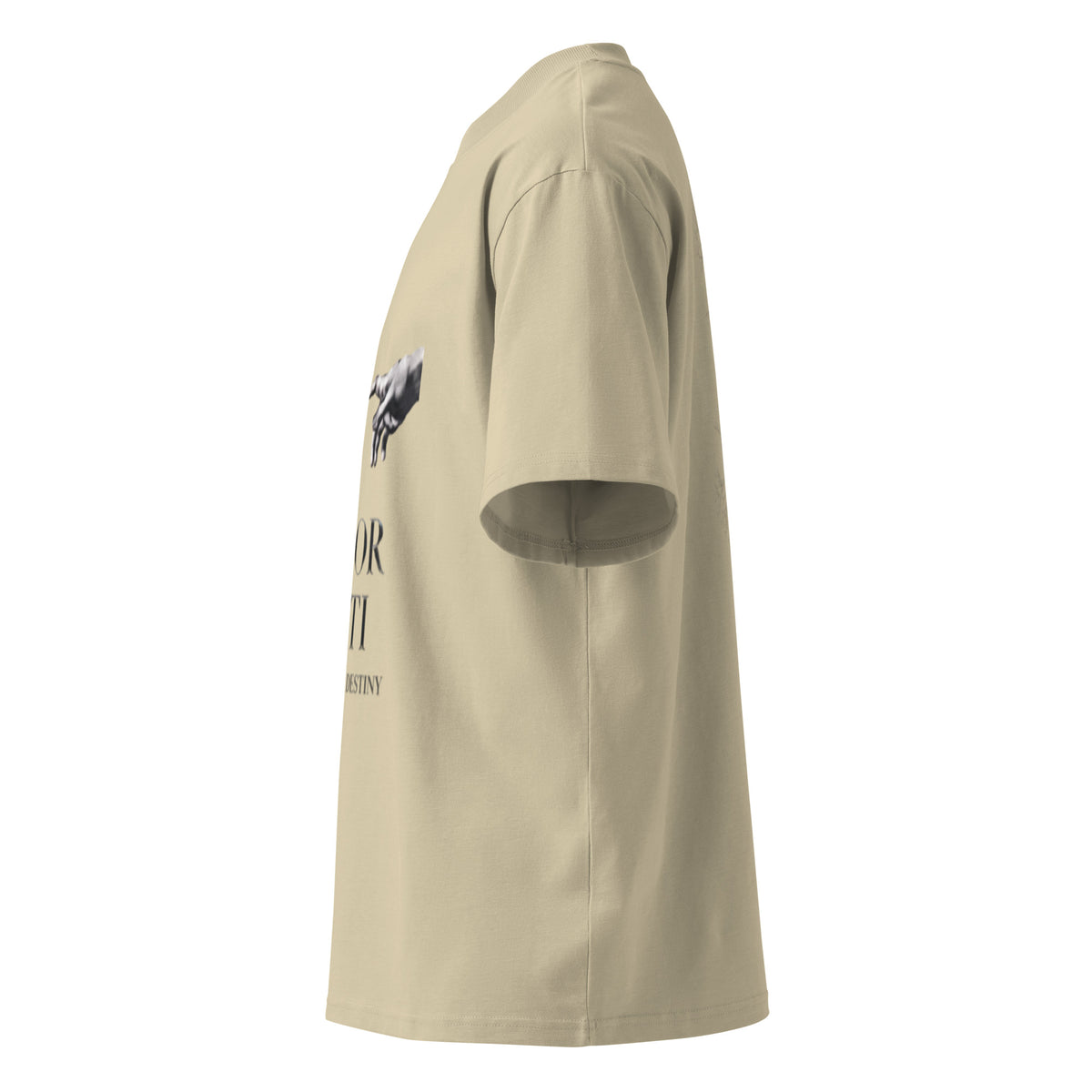 Nietzsche Amor Fati oversized t-shirt, Stone, left side view — Earthwear Studio