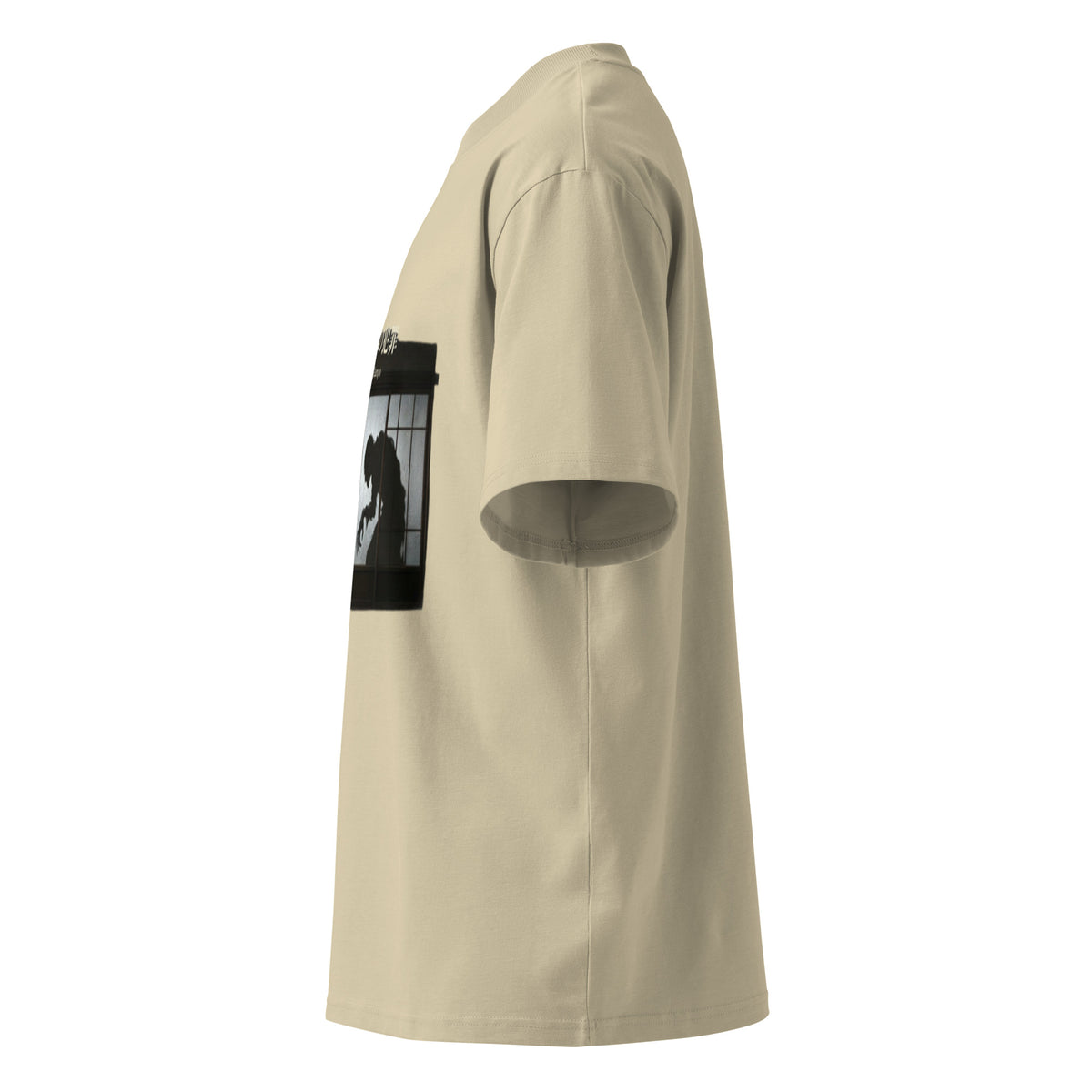 Edogawa Rampo oversized organic t-shirt in Stone, left side view