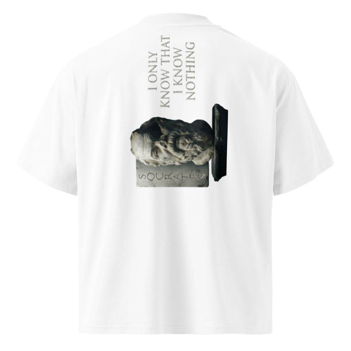 Socrates 'I know nothing' oversized t-shirt, White, back view — Earthwear Studio