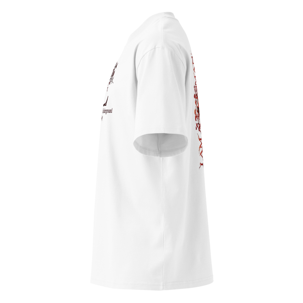 "I Am a Sick Man" oversized organic t-shirt by Earthwear Studio, Dostoevsky Notes from Underground design, view 14
