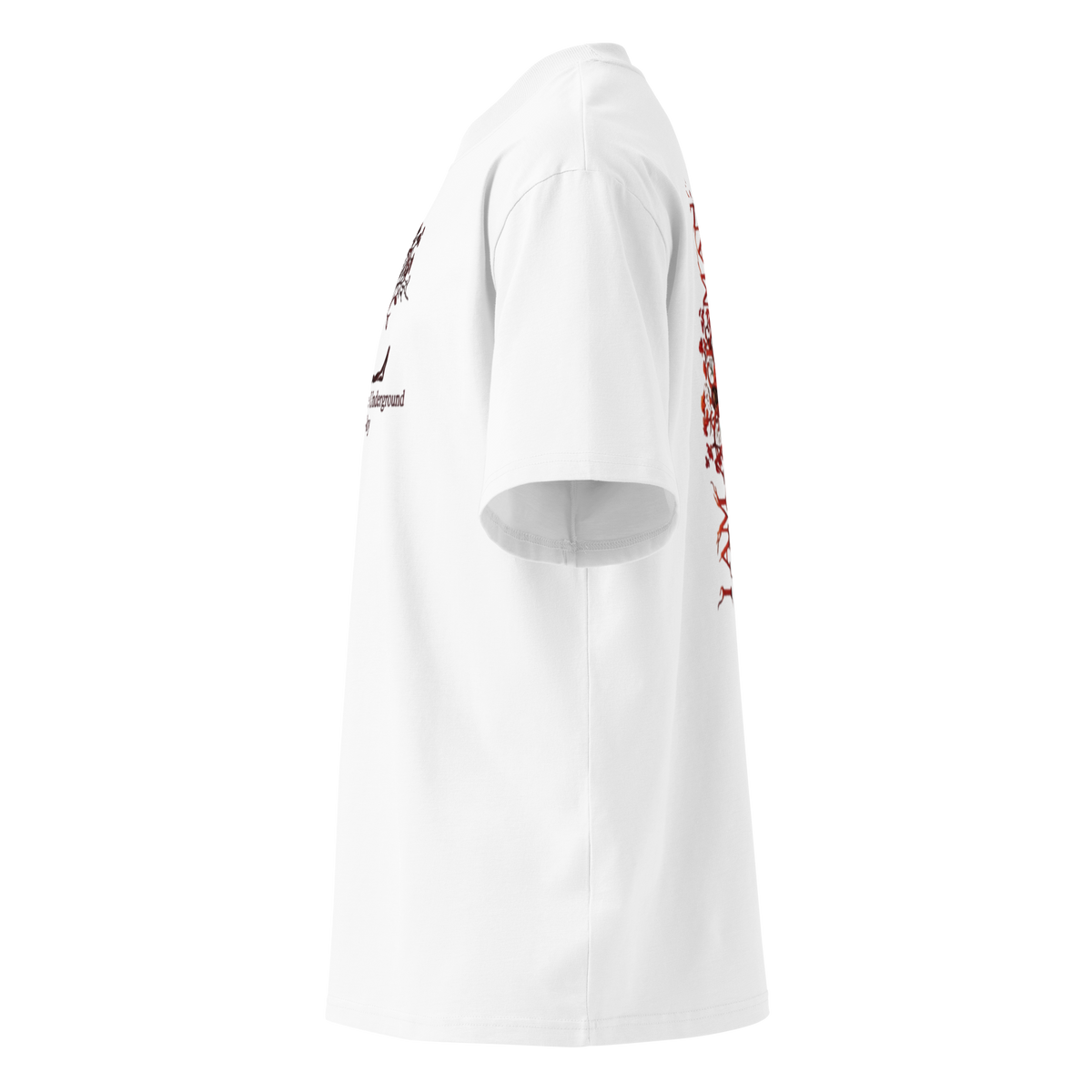 "I Am a Sick Man" oversized organic t-shirt by Earthwear Studio, Dostoevsky Notes from Underground design, view 14